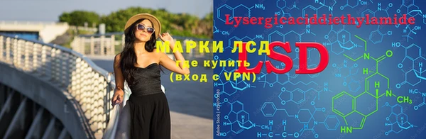 ГАЛЛЮЦИНОГЕННЫЕ ГРИБЫ Алзамай