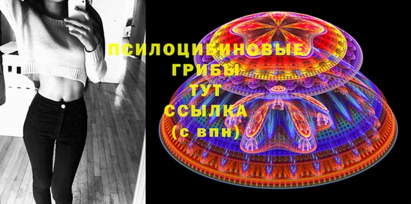 молекула духа Алексин