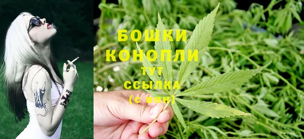 сатива Алексеевка