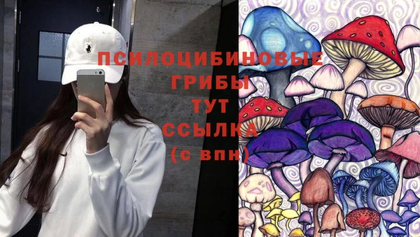 сатива Алексеевка